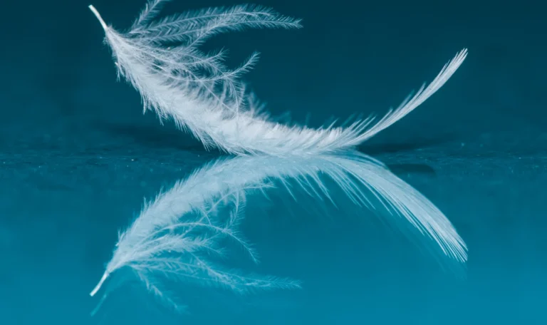 Lider stosujący budowanie efektywnego zespołu poprzez kapitał relacyjny i współpracę